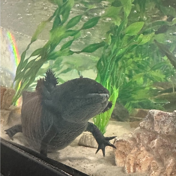 Meet Your Posher! - Picture 3 of 6